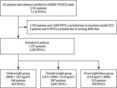 Risk factors for peripheral venous catheter-related phlebitis stratified by body mass index in critically ill patients: A post-hoc analysis of the AMOR-VENUS study